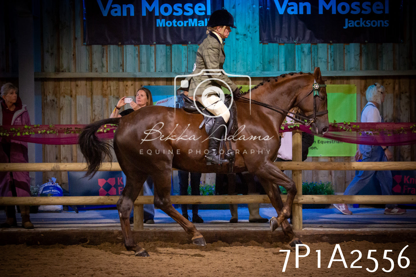 JHOYS 2025 - Ridden Showing - 28th September - pt2