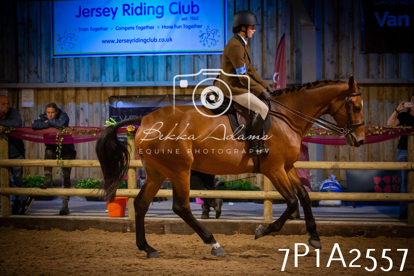 JHOYS 2025 - Ridden Showing - 28th September - pt2