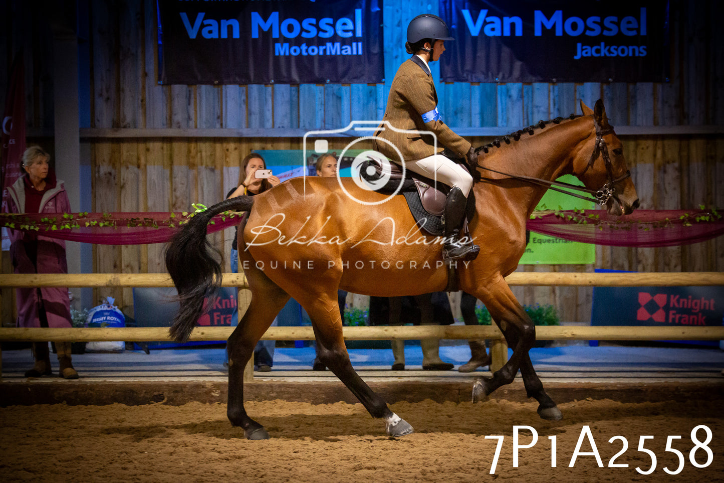 JHOYS 2025 - Ridden Showing - 28th September - pt2