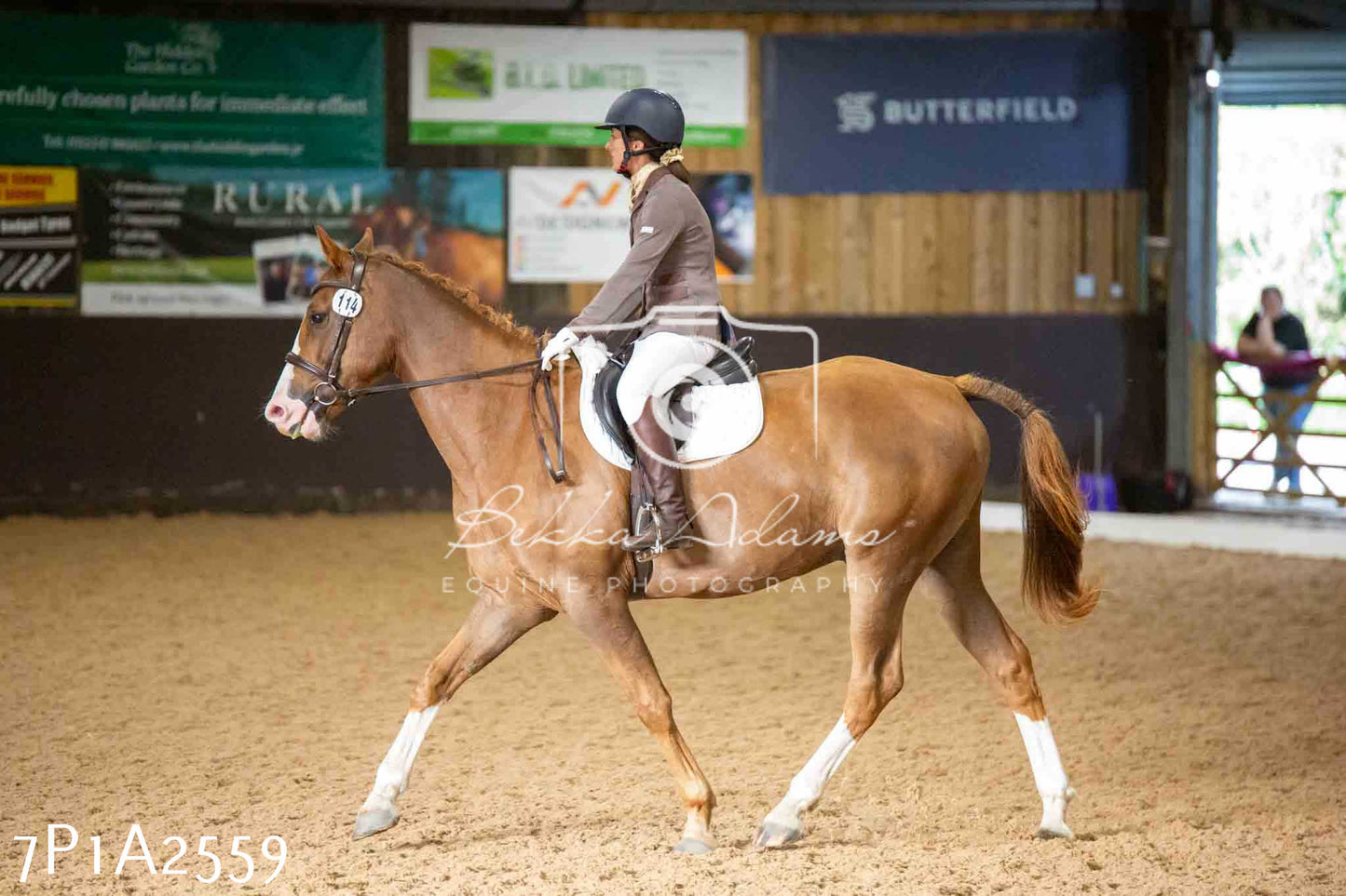 JHOYS 2023 - 6th September - Dressage