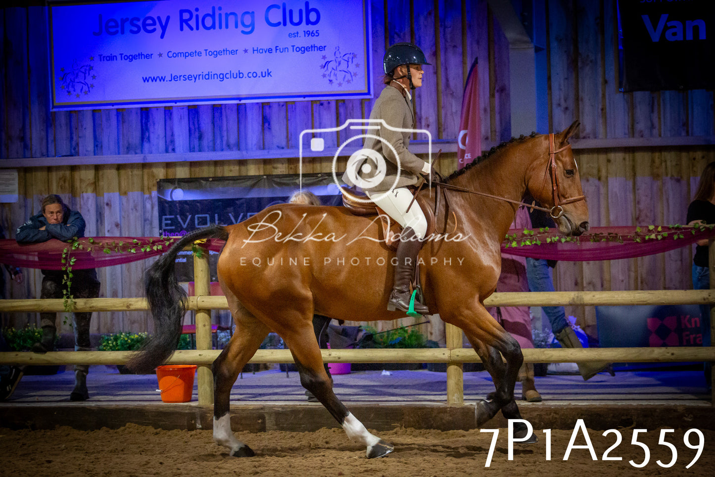 JHOYS 2025 - Ridden Showing - 28th September - pt2