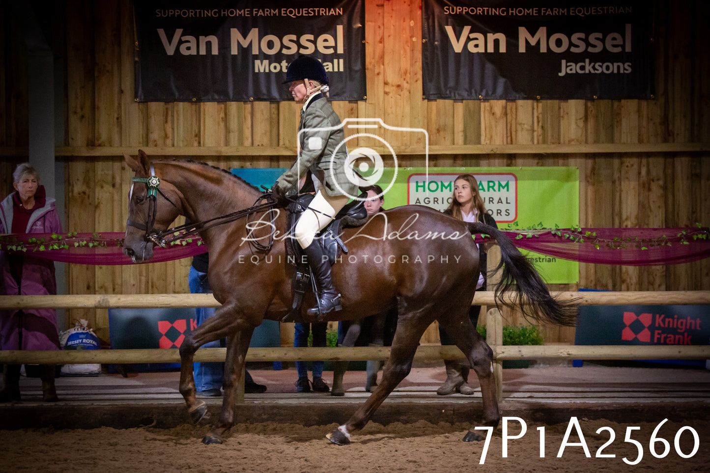 JHOYS 2025 - Ridden Showing - 28th September - pt2