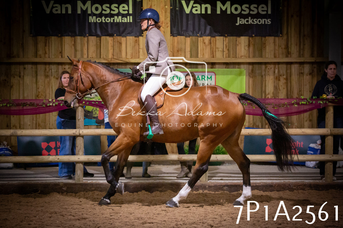 JHOYS 2025 - Ridden Showing - 28th September - pt2