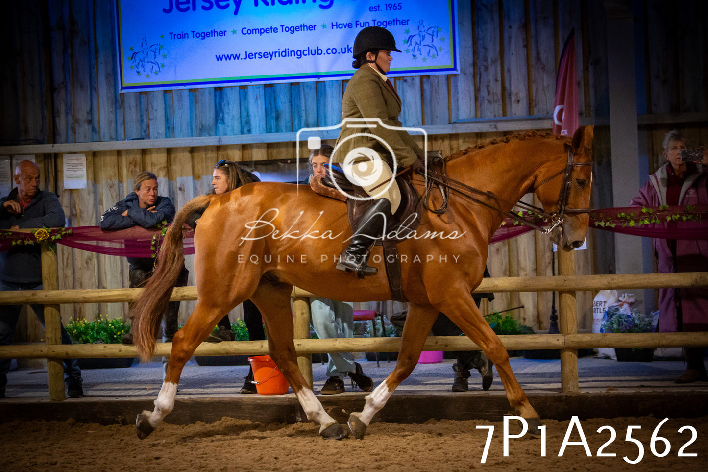 JHOYS 2025 - Ridden Showing - 28th September - pt2