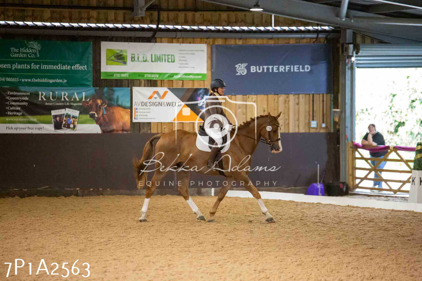 JHOYS 2023 - 6th September - Dressage