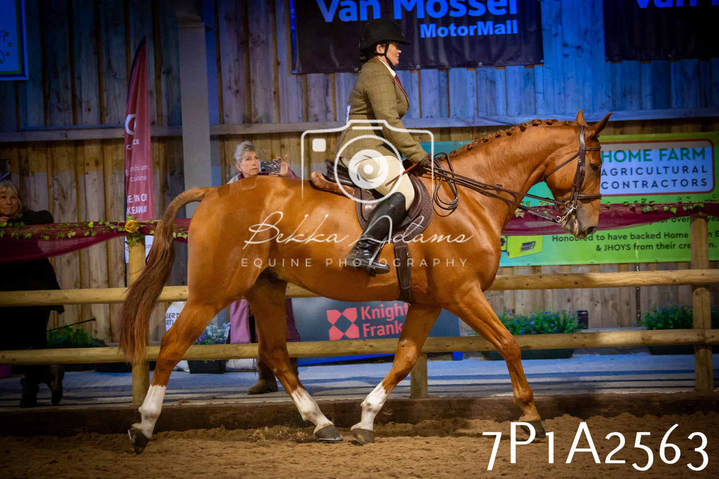 JHOYS 2025 - Ridden Showing - 28th September - pt2