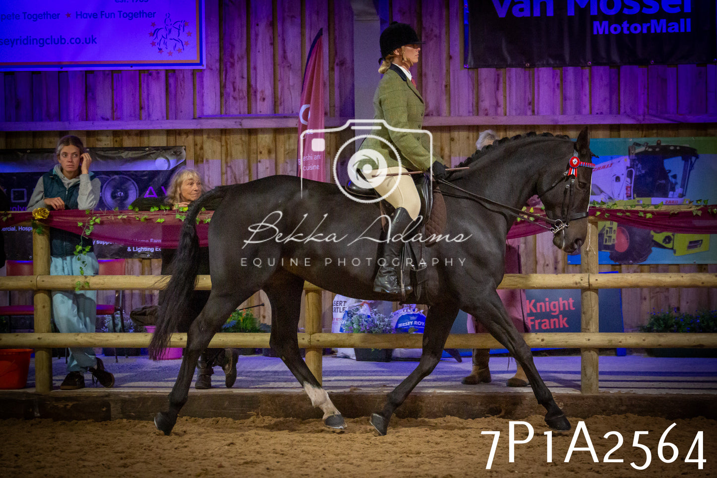 JHOYS 2025 - Ridden Showing - 28th September - pt2