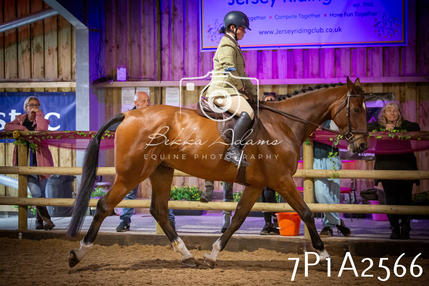 JHOYS 2025 - Ridden Showing - 28th September - pt2
