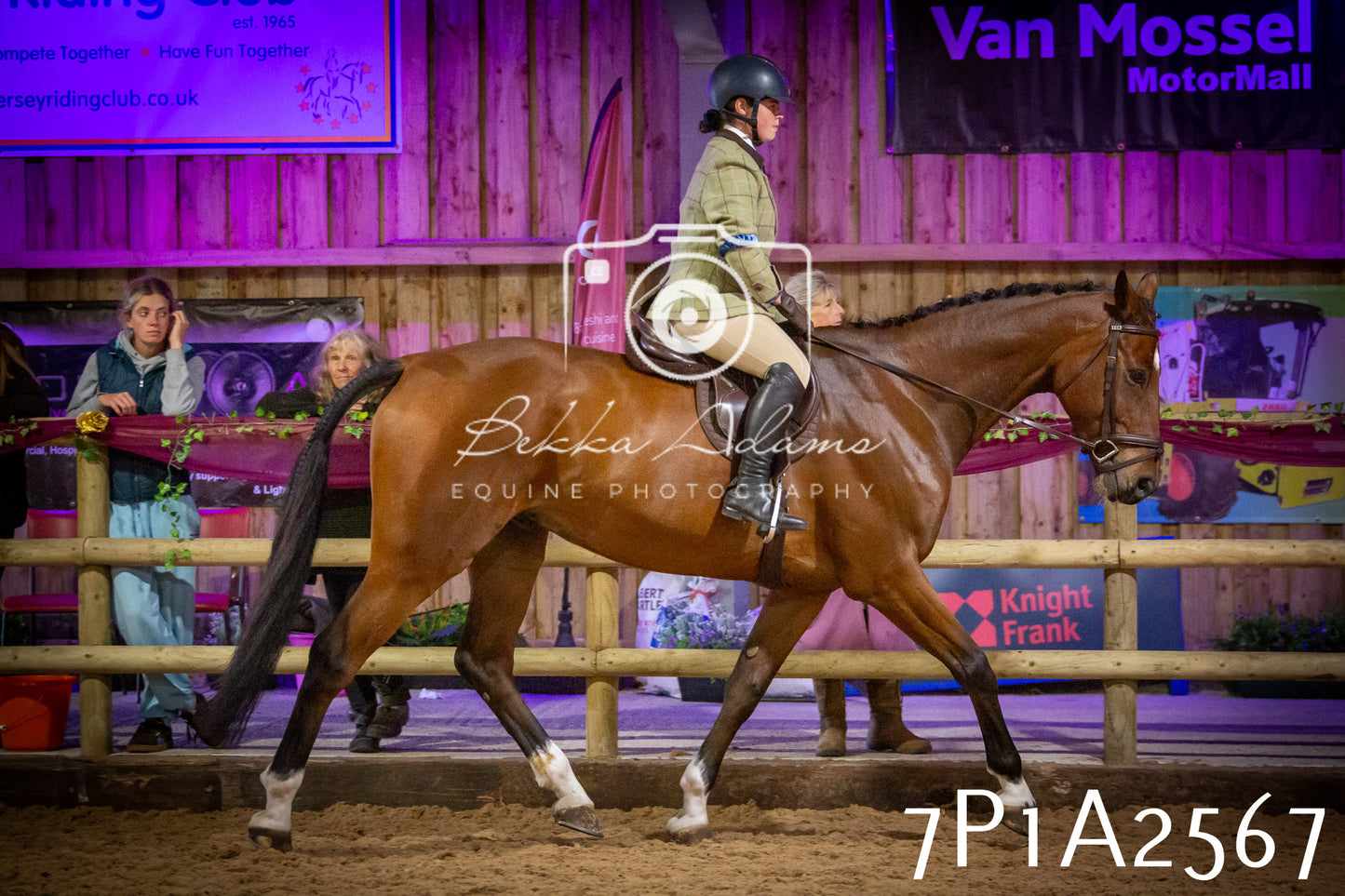 JHOYS 2025 - Ridden Showing - 28th September - pt2