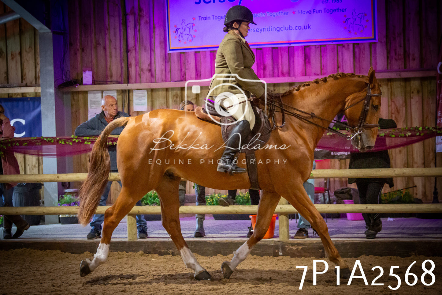 JHOYS 2025 - Ridden Showing - 28th September - pt2