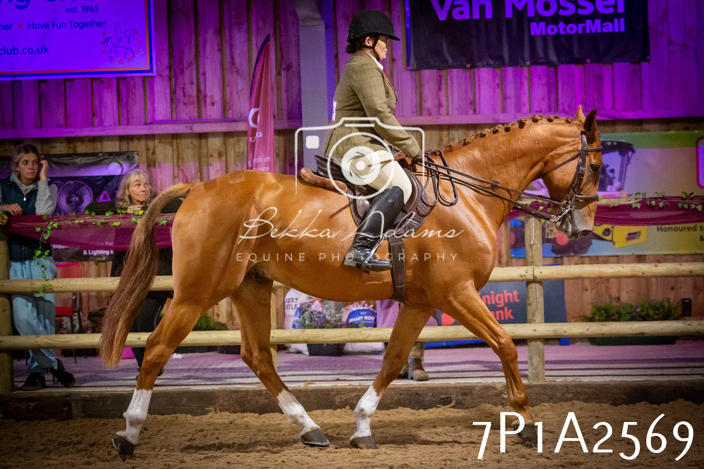 JHOYS 2025 - Ridden Showing - 28th September - pt2