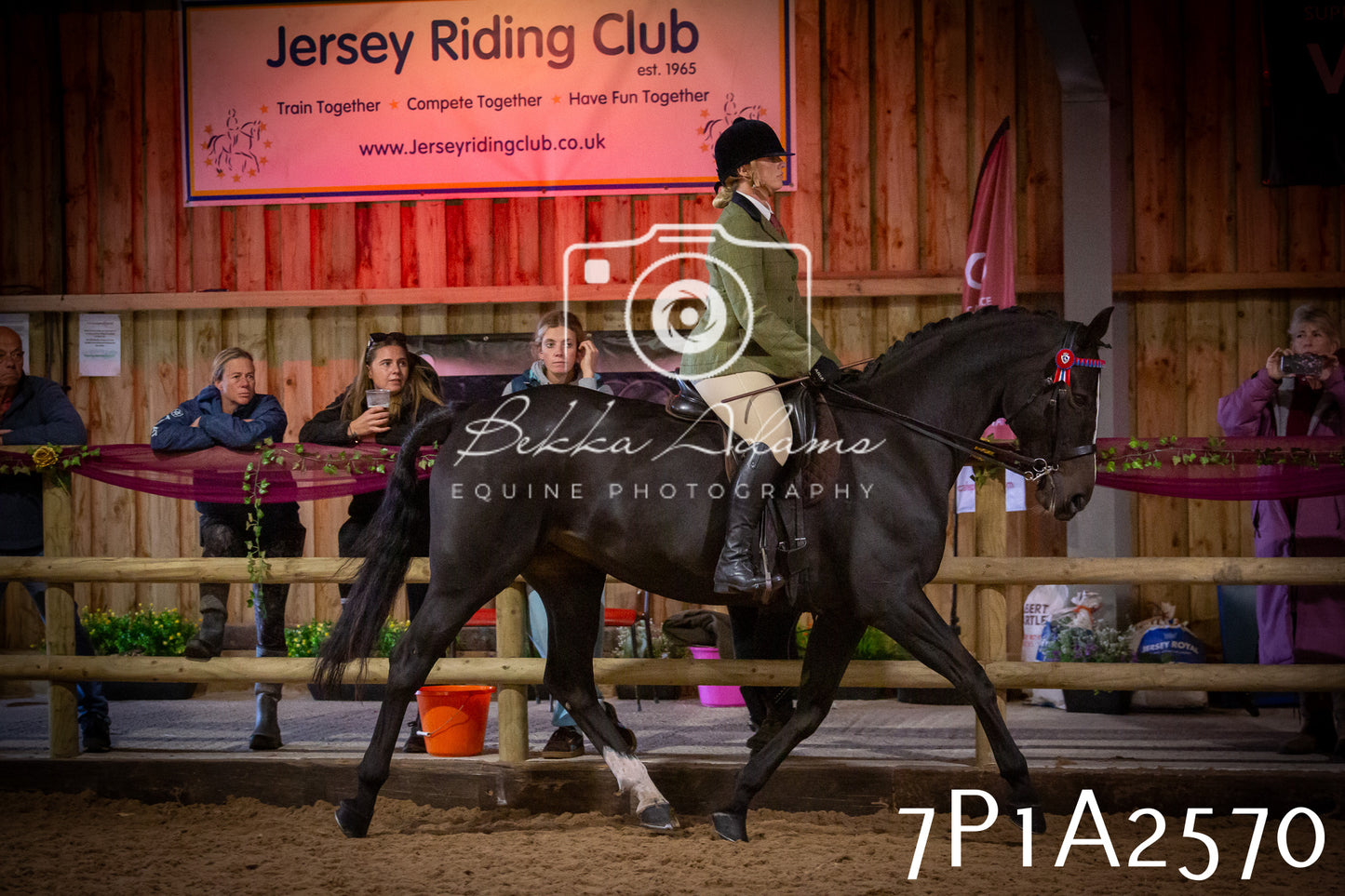JHOYS 2025 - Ridden Showing - 28th September - pt2