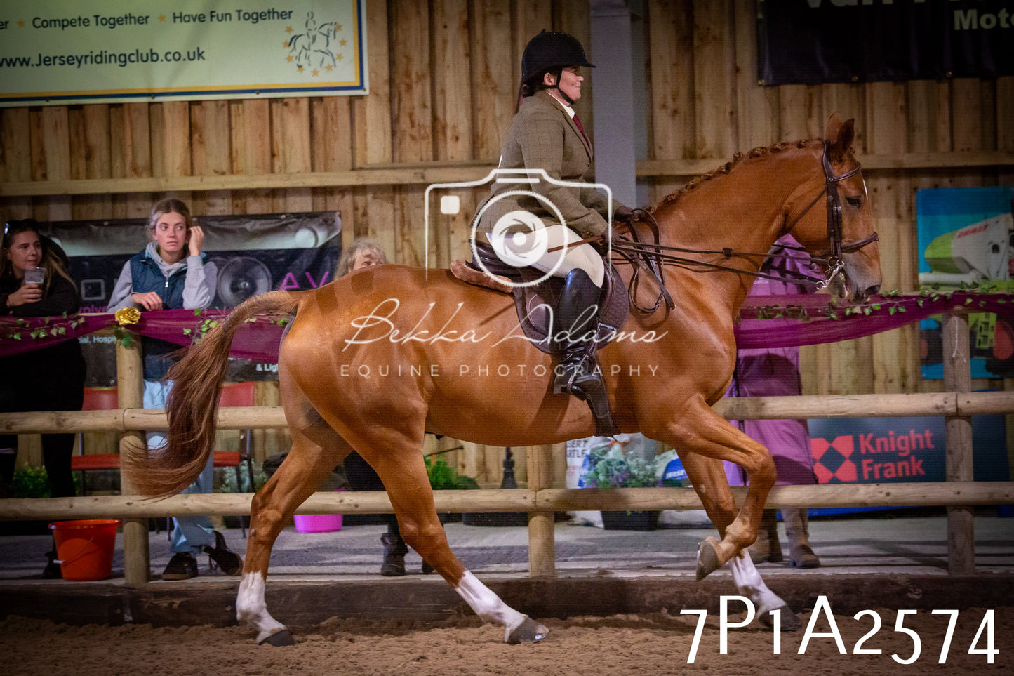 JHOYS 2025 - Ridden Showing - 28th September - pt2