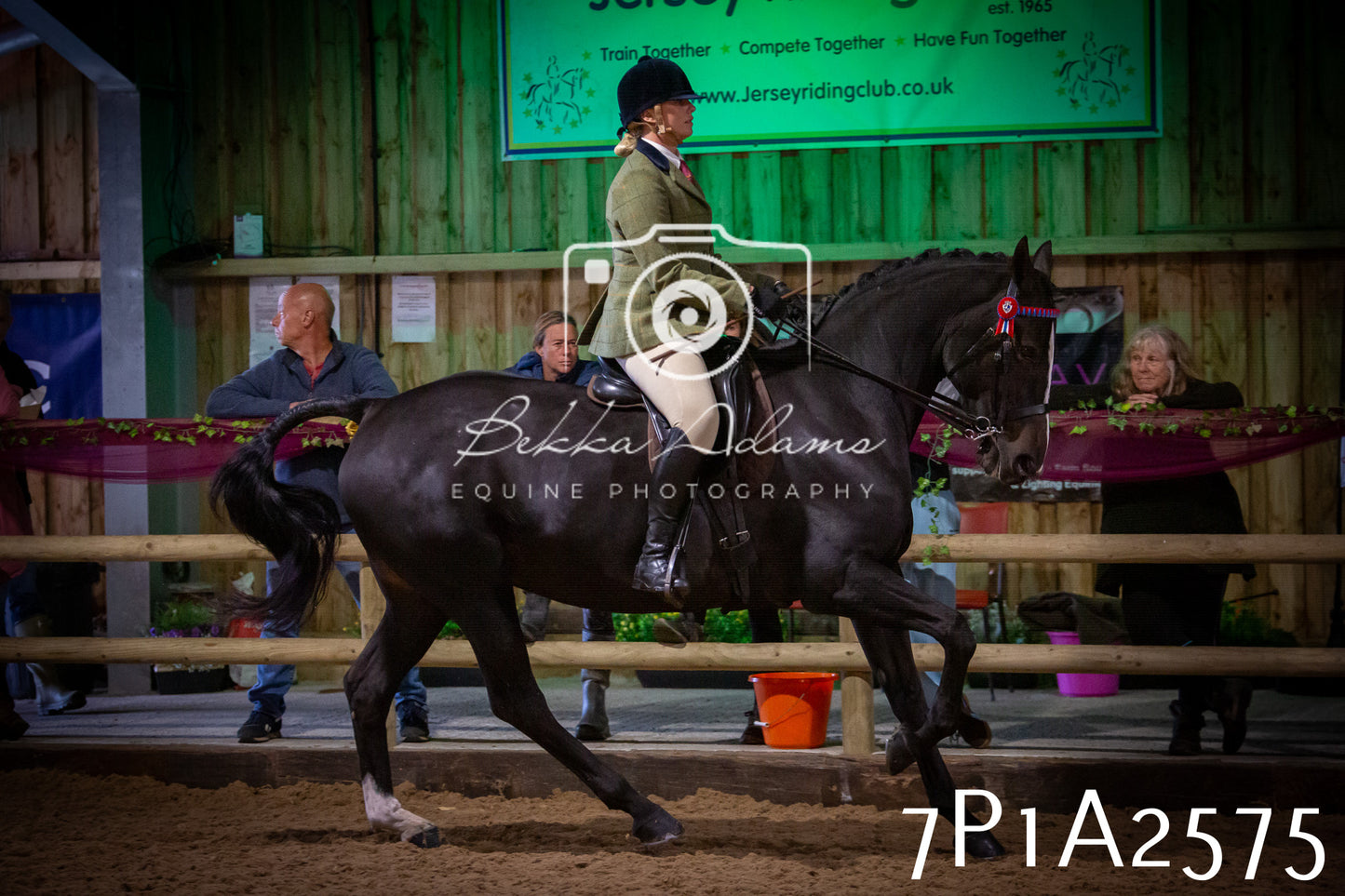 JHOYS 2025 - Ridden Showing - 28th September - pt2