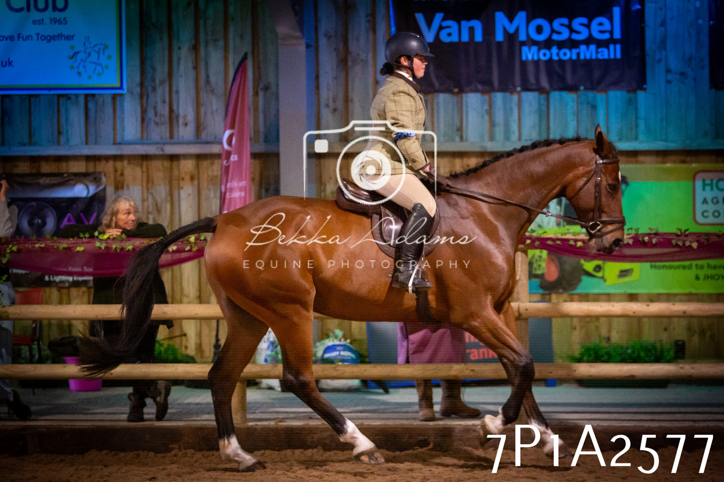 JHOYS 2025 - Ridden Showing - 28th September - pt2
