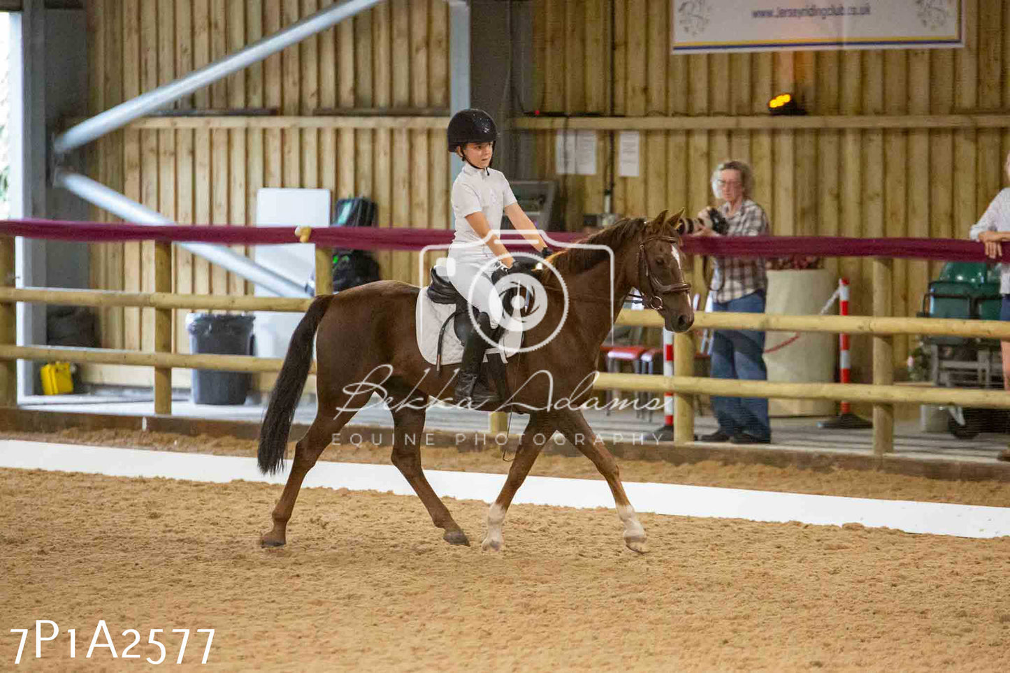 JHOYS 2023 - 6th September - Dressage