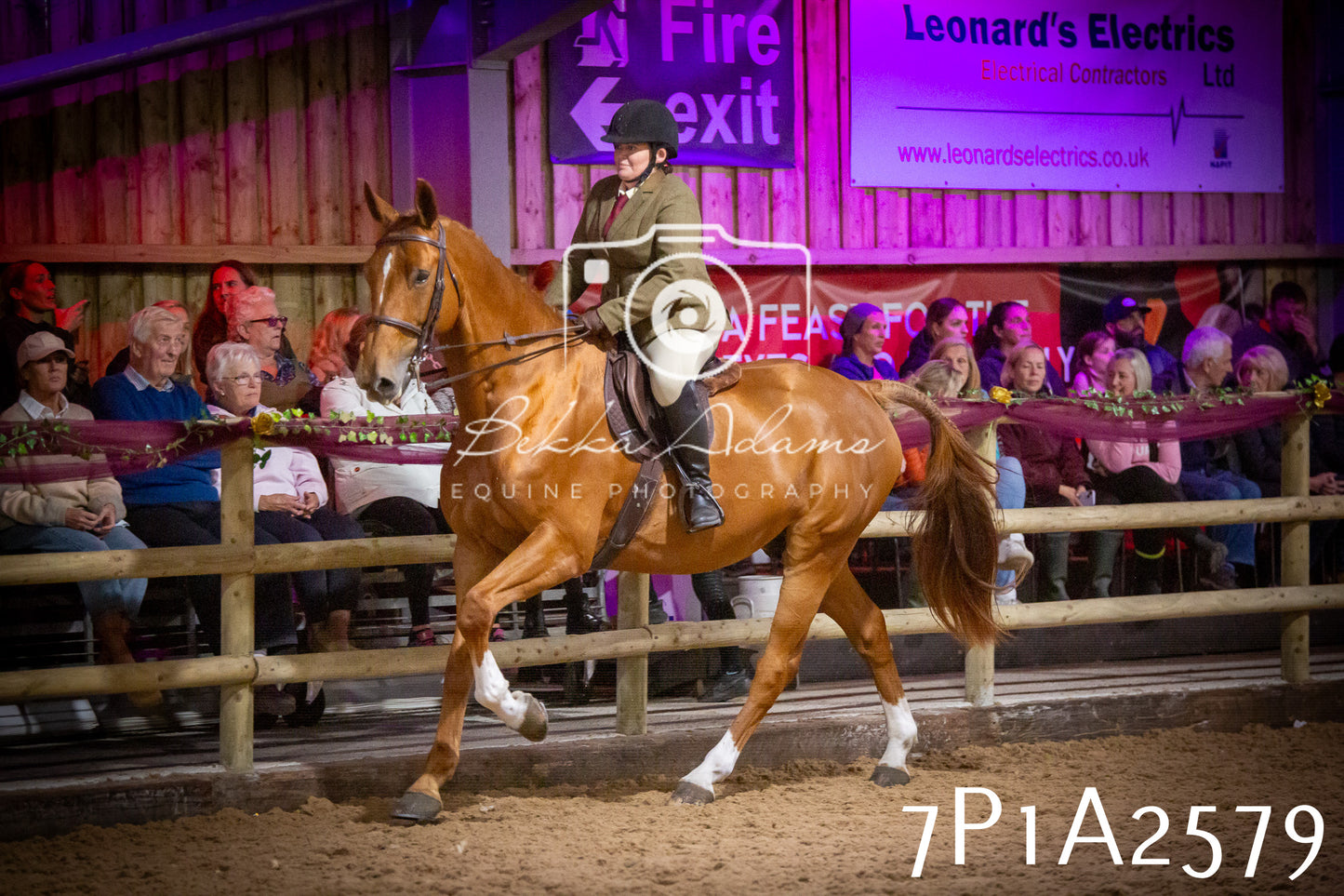 JHOYS 2025 - Ridden Showing - 28th September - pt2