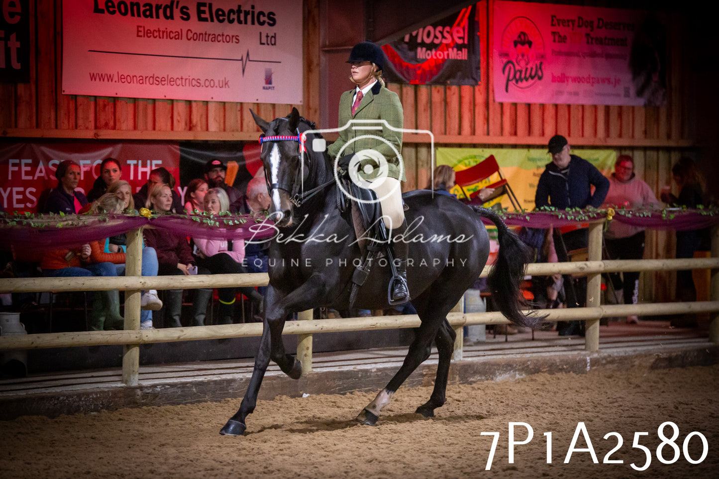 JHOYS 2025 - Ridden Showing - 28th September - pt2