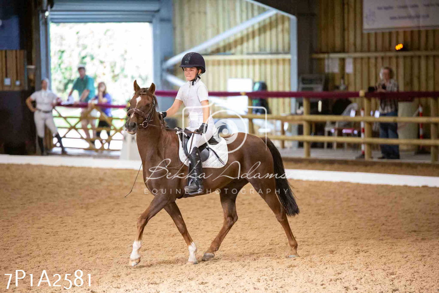 JHOYS 2023 - 6th September - Dressage