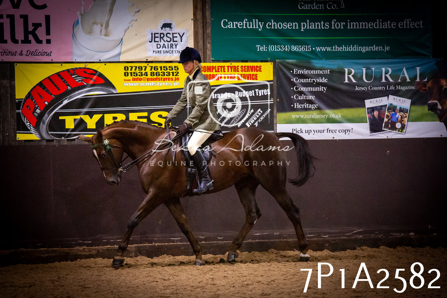 JHOYS 2025 - Ridden Showing - 28th September - pt2