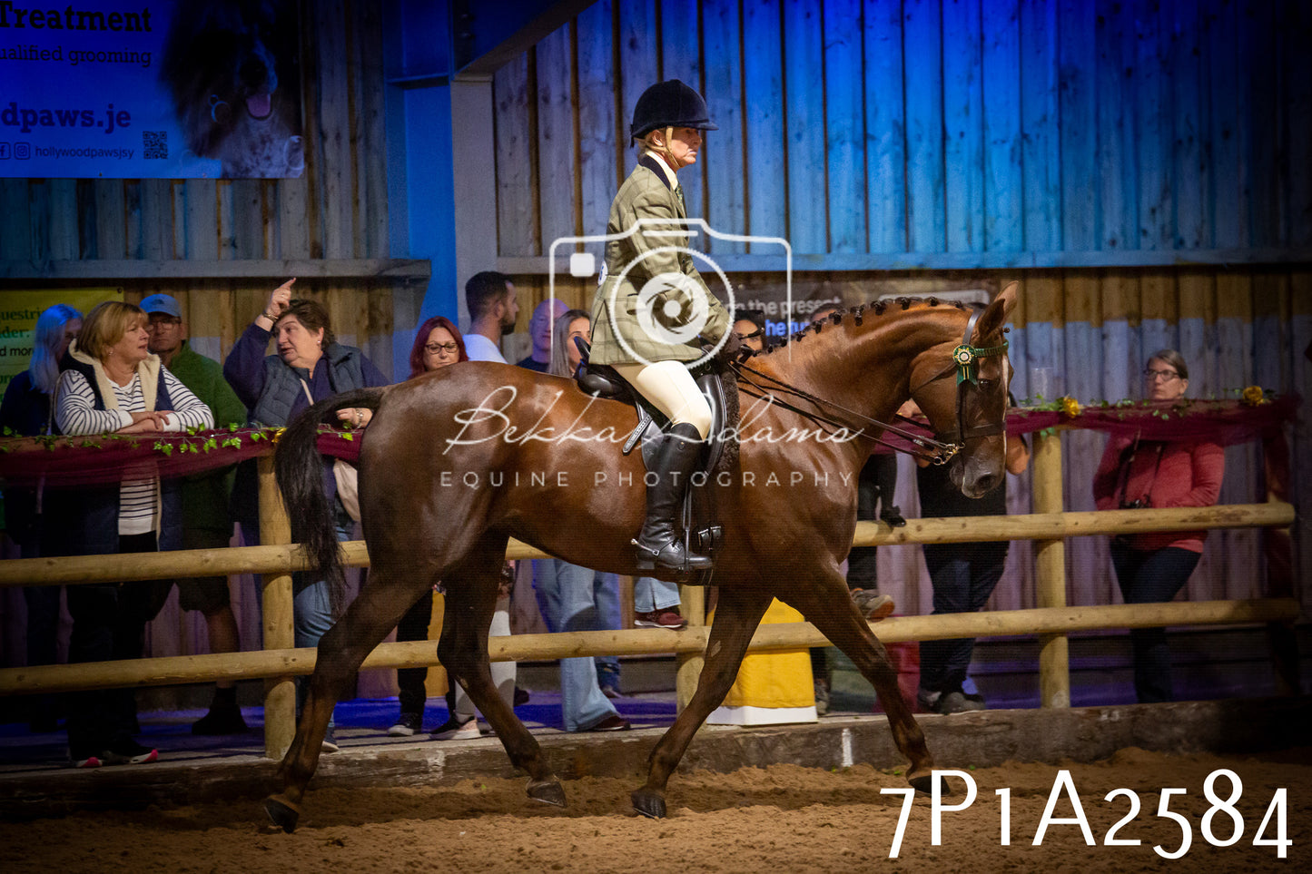 JHOYS 2025 - Ridden Showing - 28th September - pt2