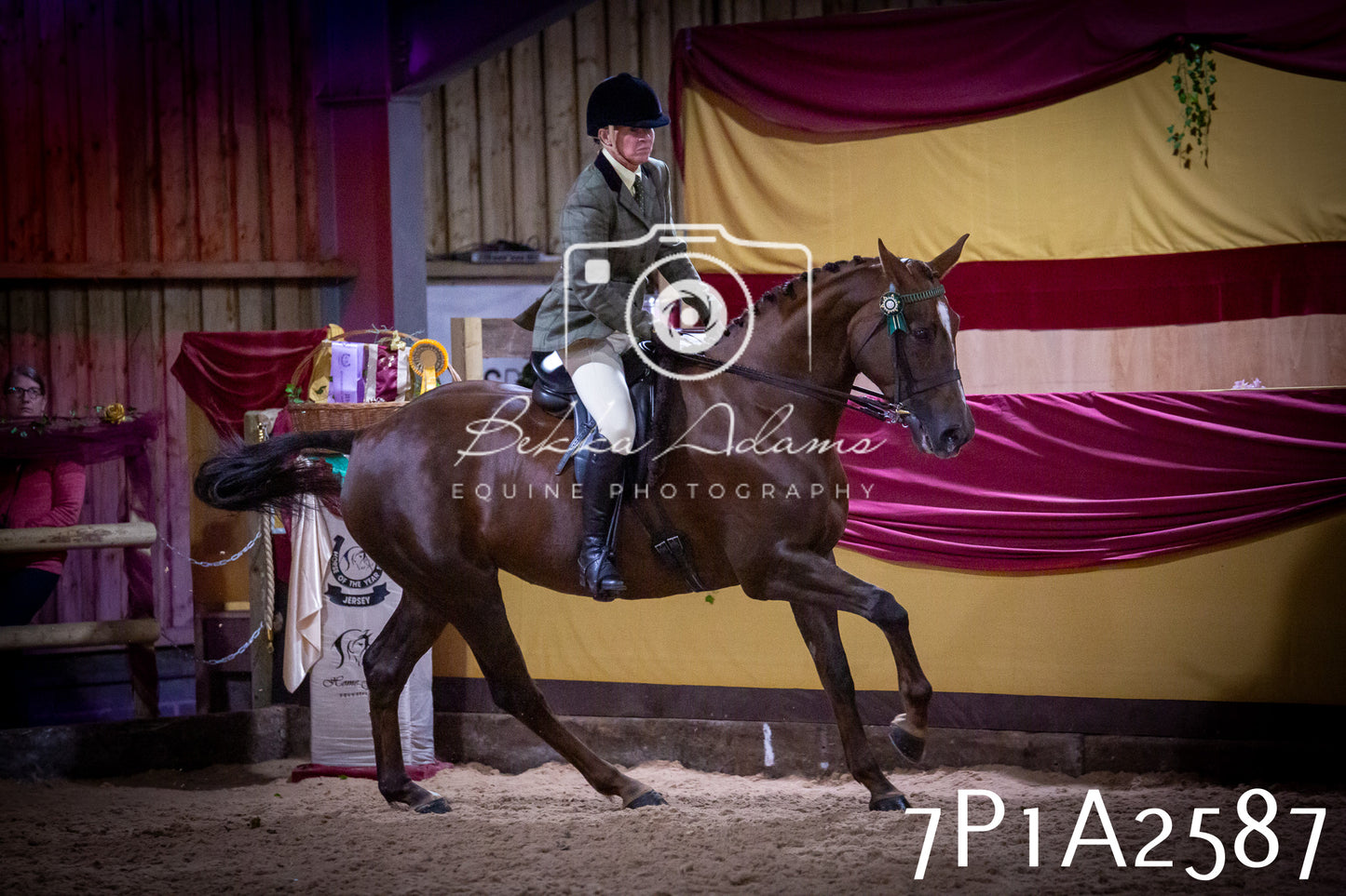 JHOYS 2025 - Ridden Showing - 28th September - pt2
