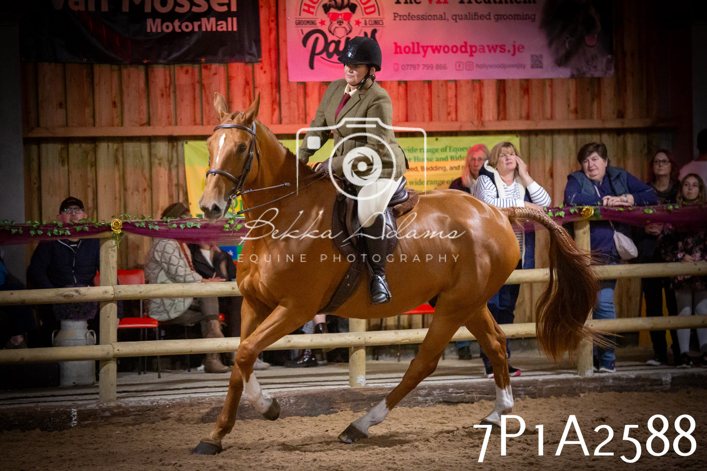 JHOYS 2025 - Ridden Showing - 28th September - pt2
