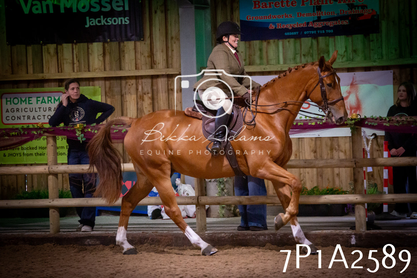 JHOYS 2025 - Ridden Showing - 28th September - pt2