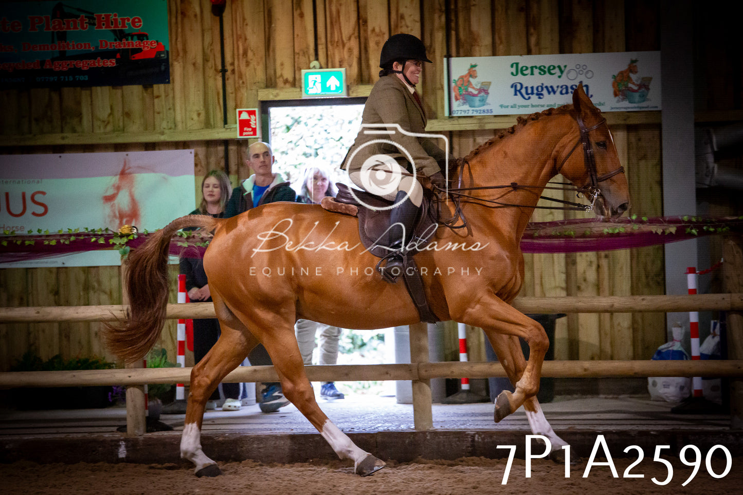 JHOYS 2025 - Ridden Showing - 28th September - pt2