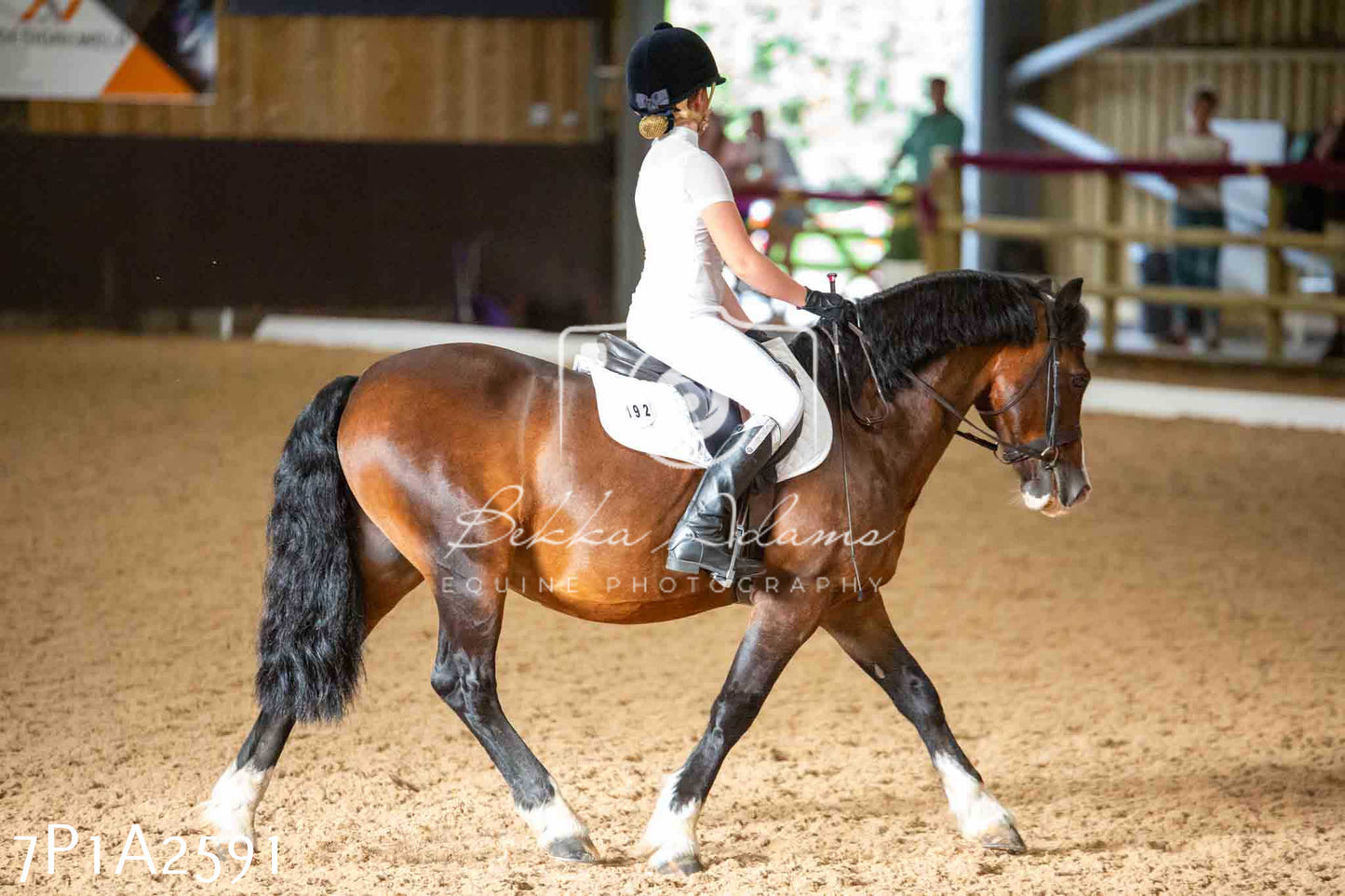 JHOYS 2023 - 6th September - Dressage