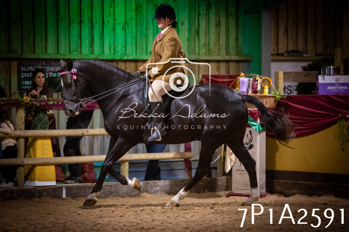 JHOYS 2025 - Ridden Showing - 28th September - pt2