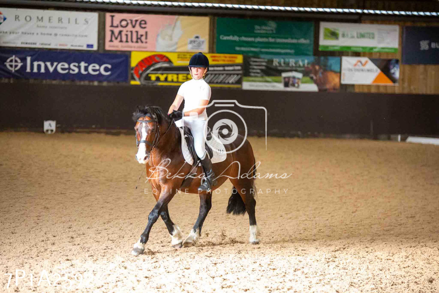 JHOYS 2023 - 6th September - Dressage