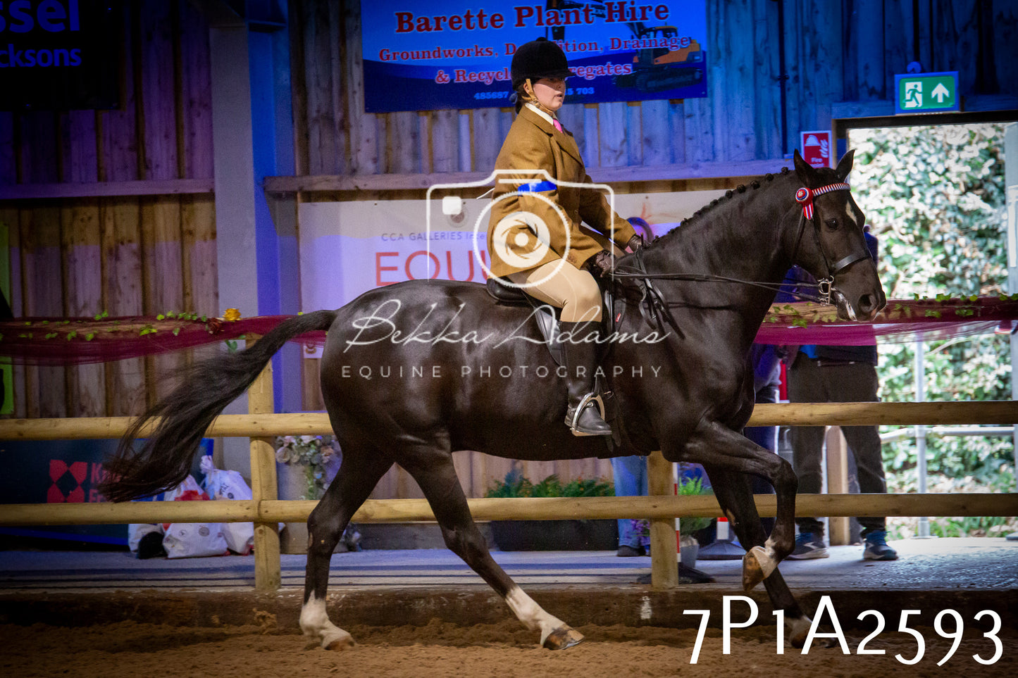 JHOYS 2025 - Ridden Showing - 28th September - pt2