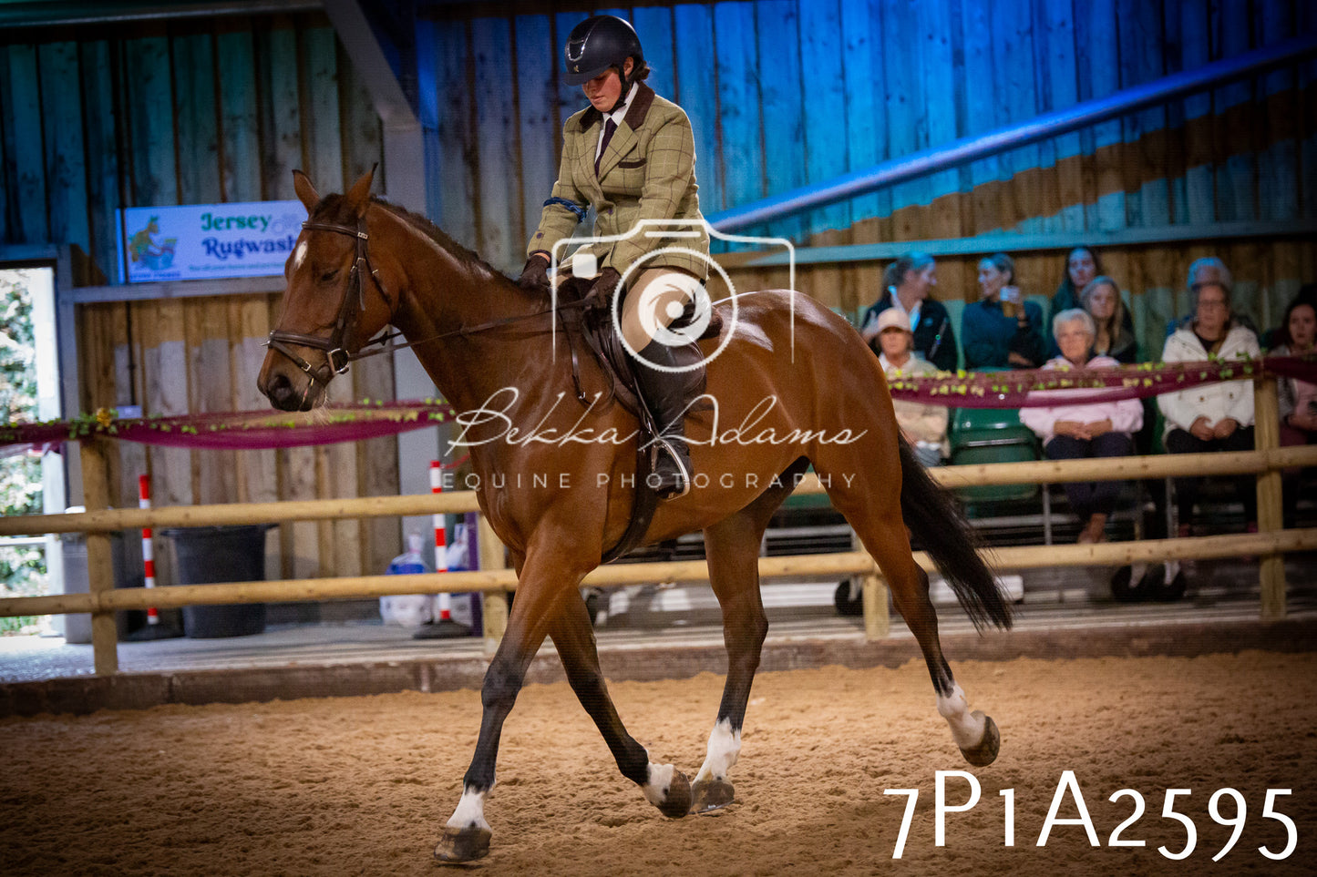 JHOYS 2025 - Ridden Showing - 28th September - pt2