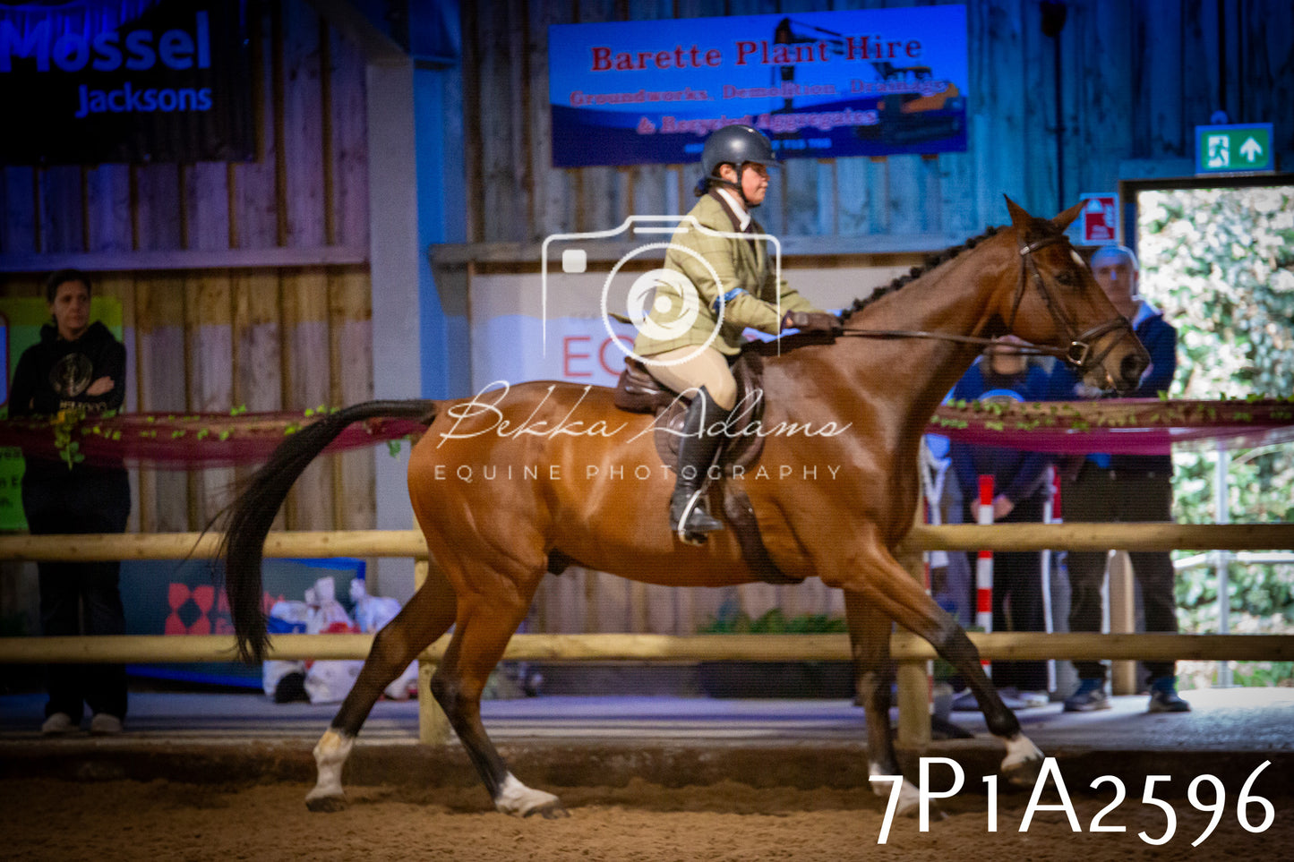 JHOYS 2025 - Ridden Showing - 28th September - pt2