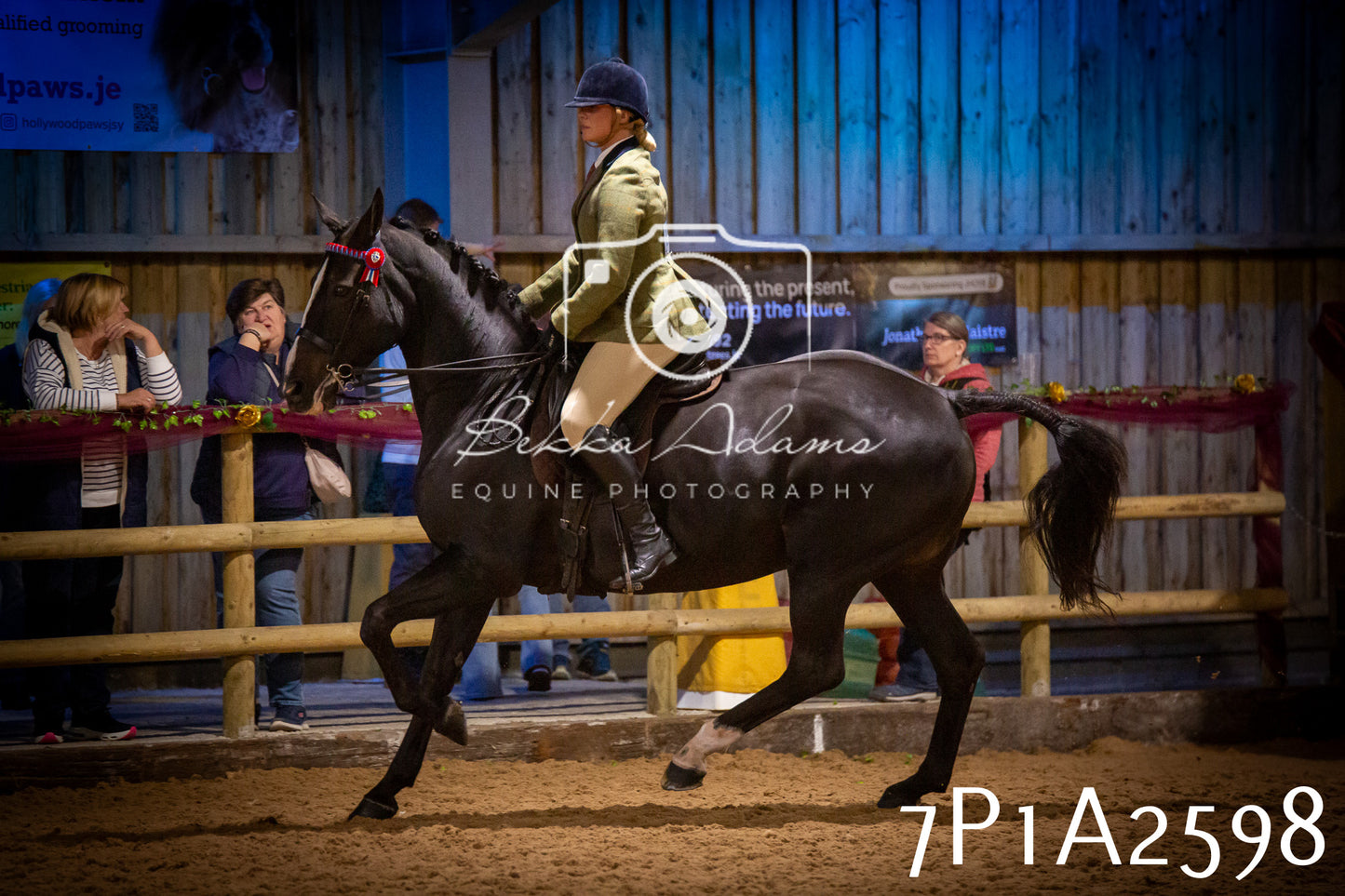 JHOYS 2025 - Ridden Showing - 28th September - pt2