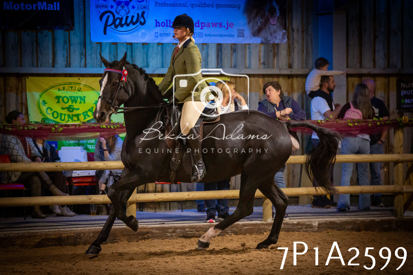 JHOYS 2025 - Ridden Showing - 28th September - pt2