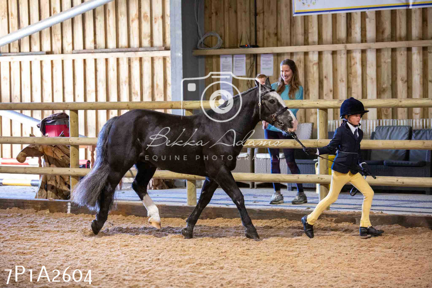 Home Farm Funshine Show 2024 - Inhand Showing 14th September