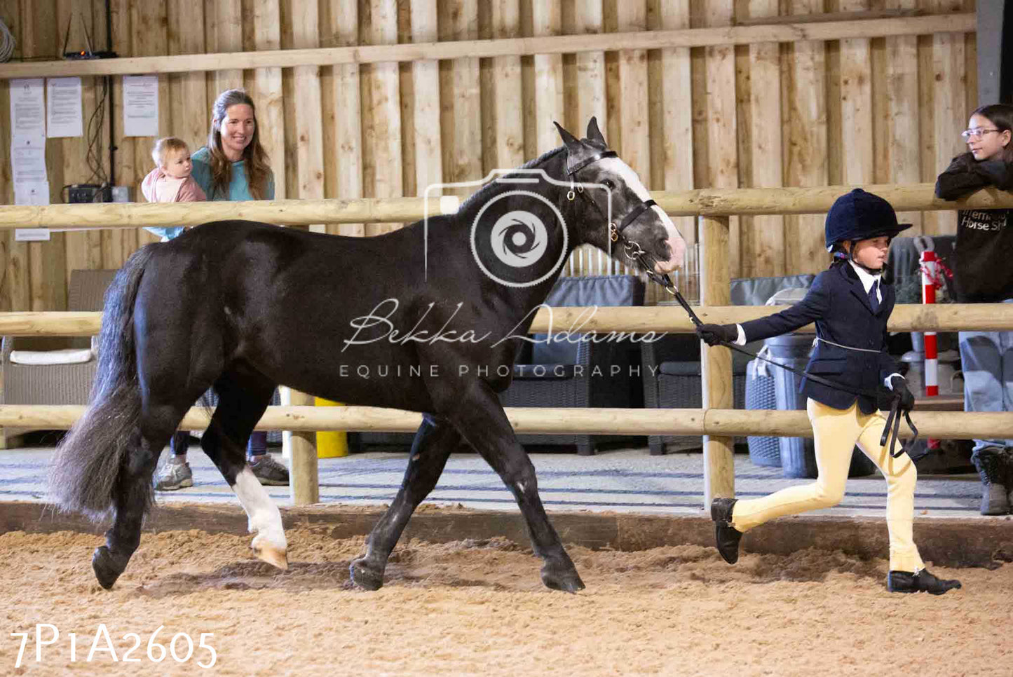 Home Farm Funshine Show 2024 - Inhand Showing 14th September