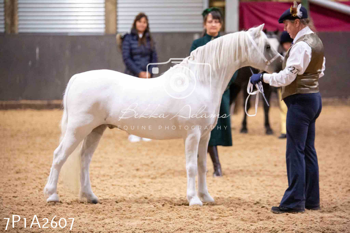 Home Farm Funshine Show 2024 - Inhand Showing 14th September