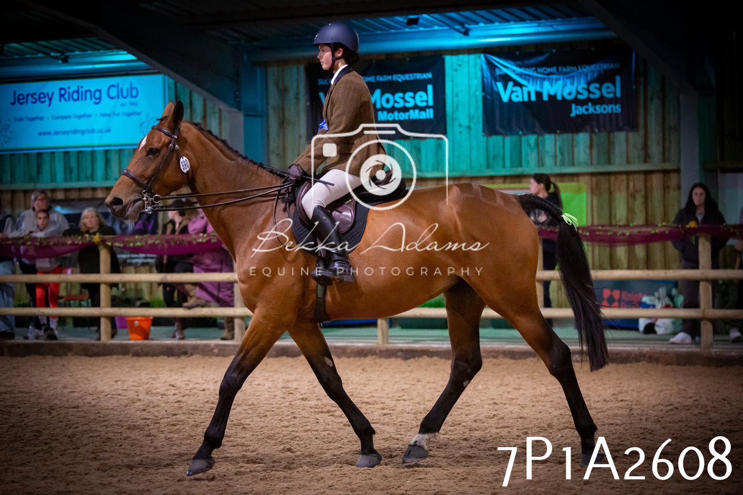 JHOYS 2025 - Ridden Showing - 28th September - pt2