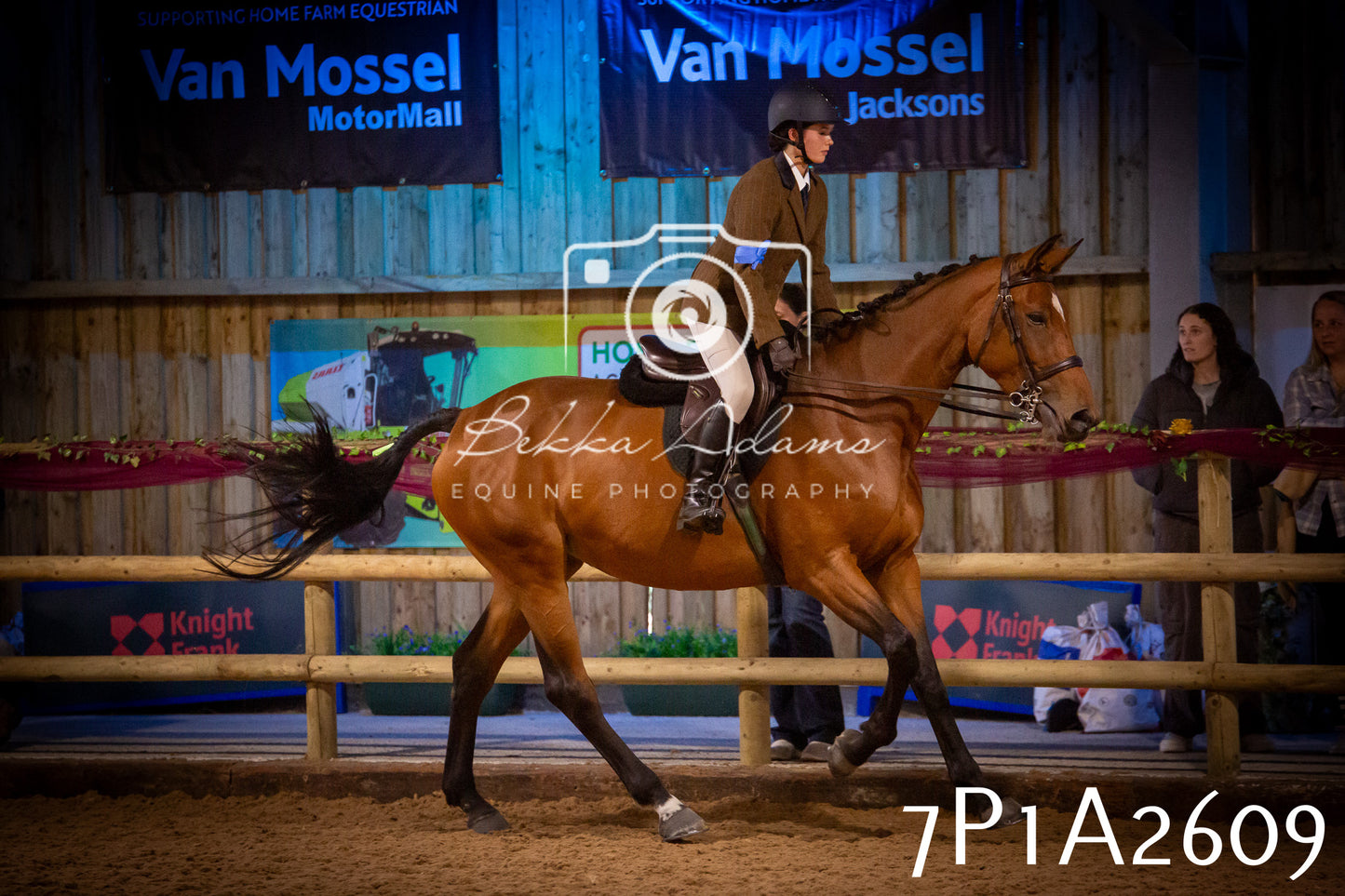 JHOYS 2025 - Ridden Showing - 28th September - pt2