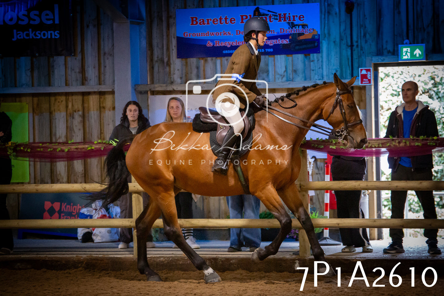 JHOYS 2025 - Ridden Showing - 28th September - pt2