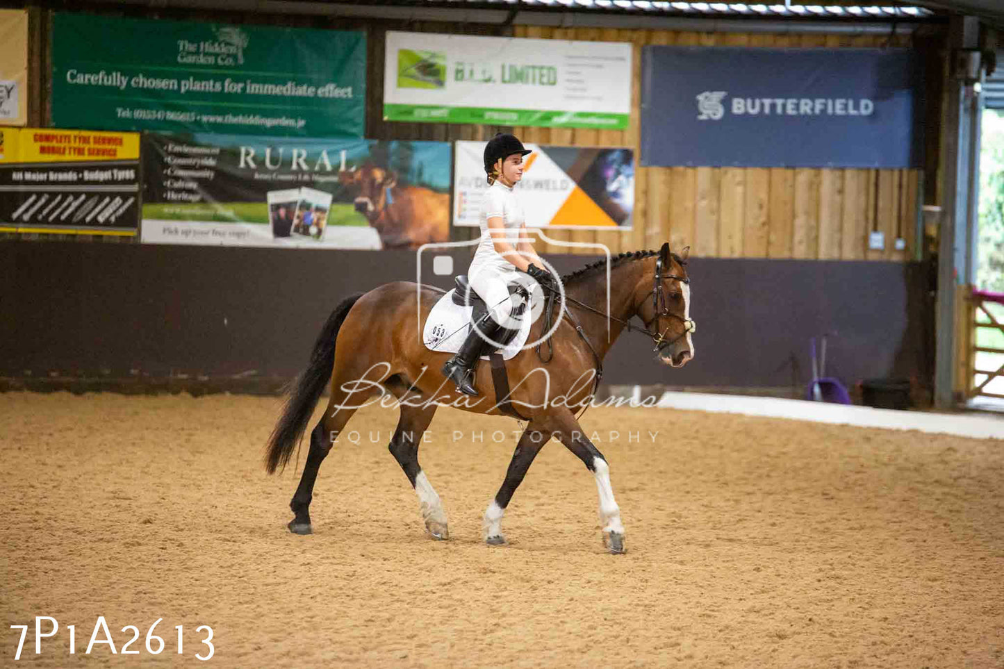JHOYS 2023 - 6th September - Dressage