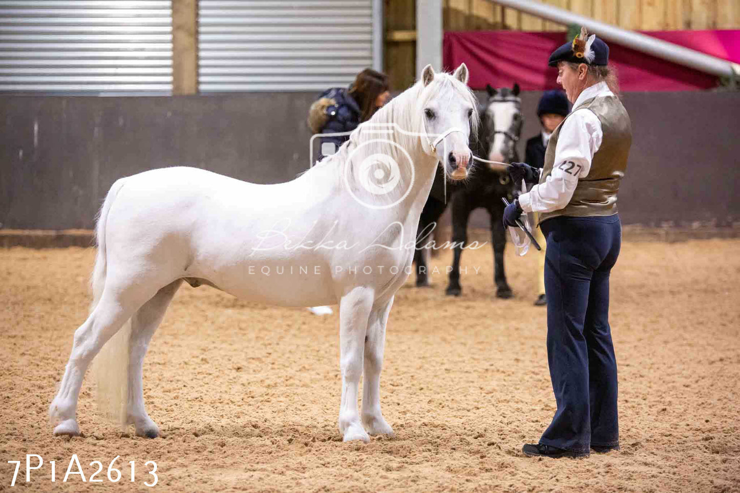Home Farm Funshine Show 2024 - Inhand Showing 14th September