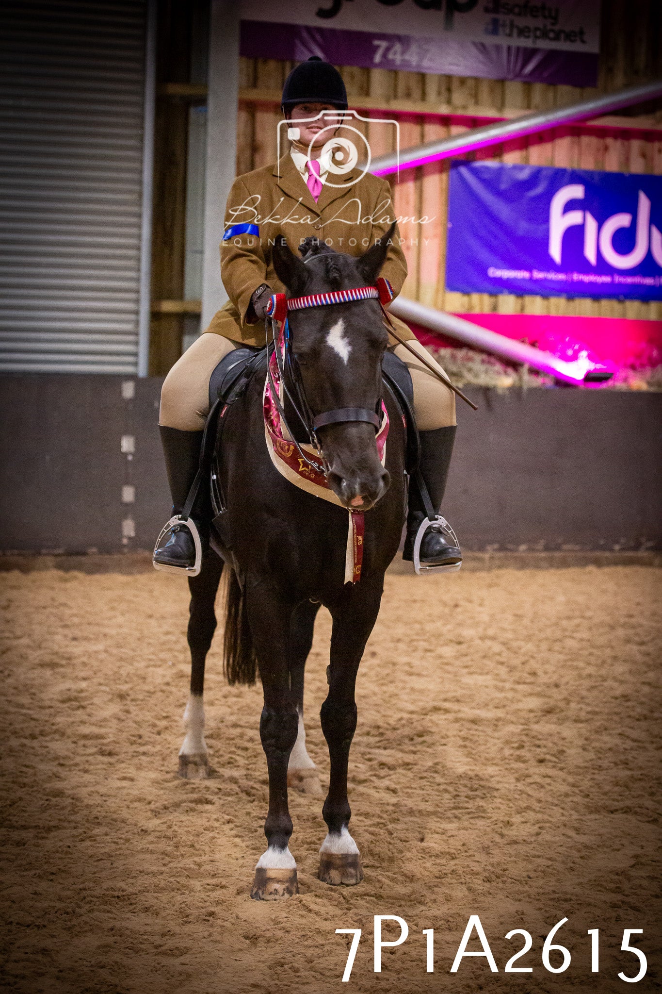 JHOYS 2025 - Ridden Showing - 28th September - pt2
