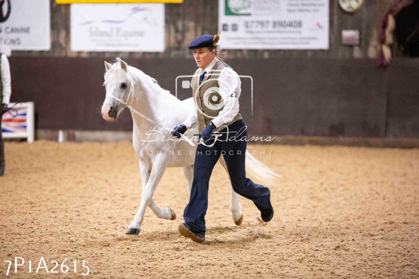 Home Farm Funshine Show 2024 - Inhand Showing 14th September