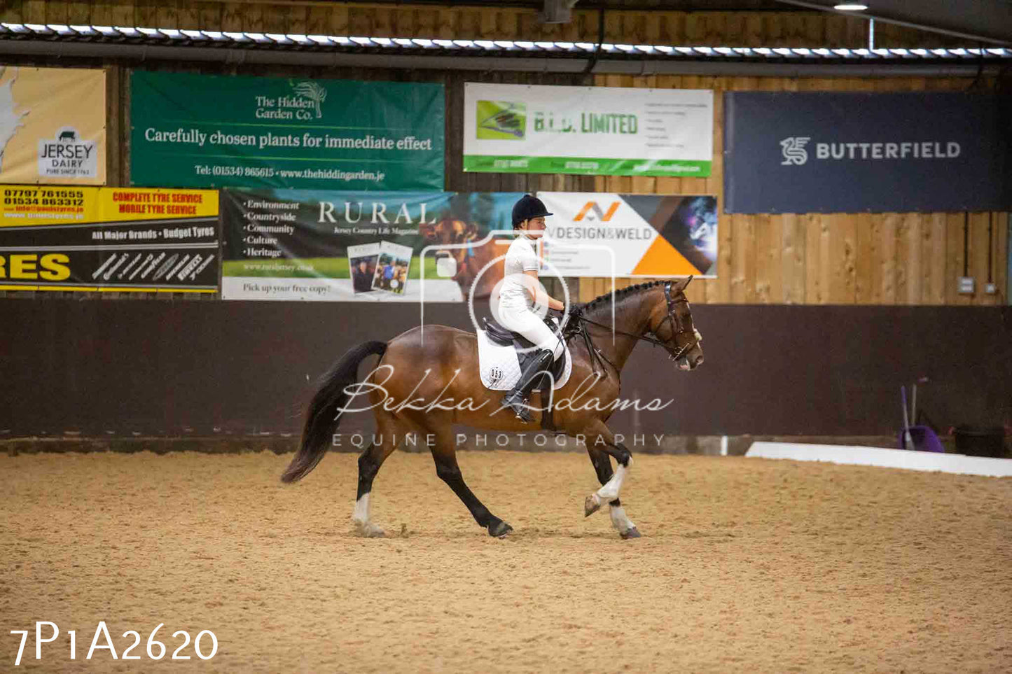 JHOYS 2023 - 6th September - Dressage
