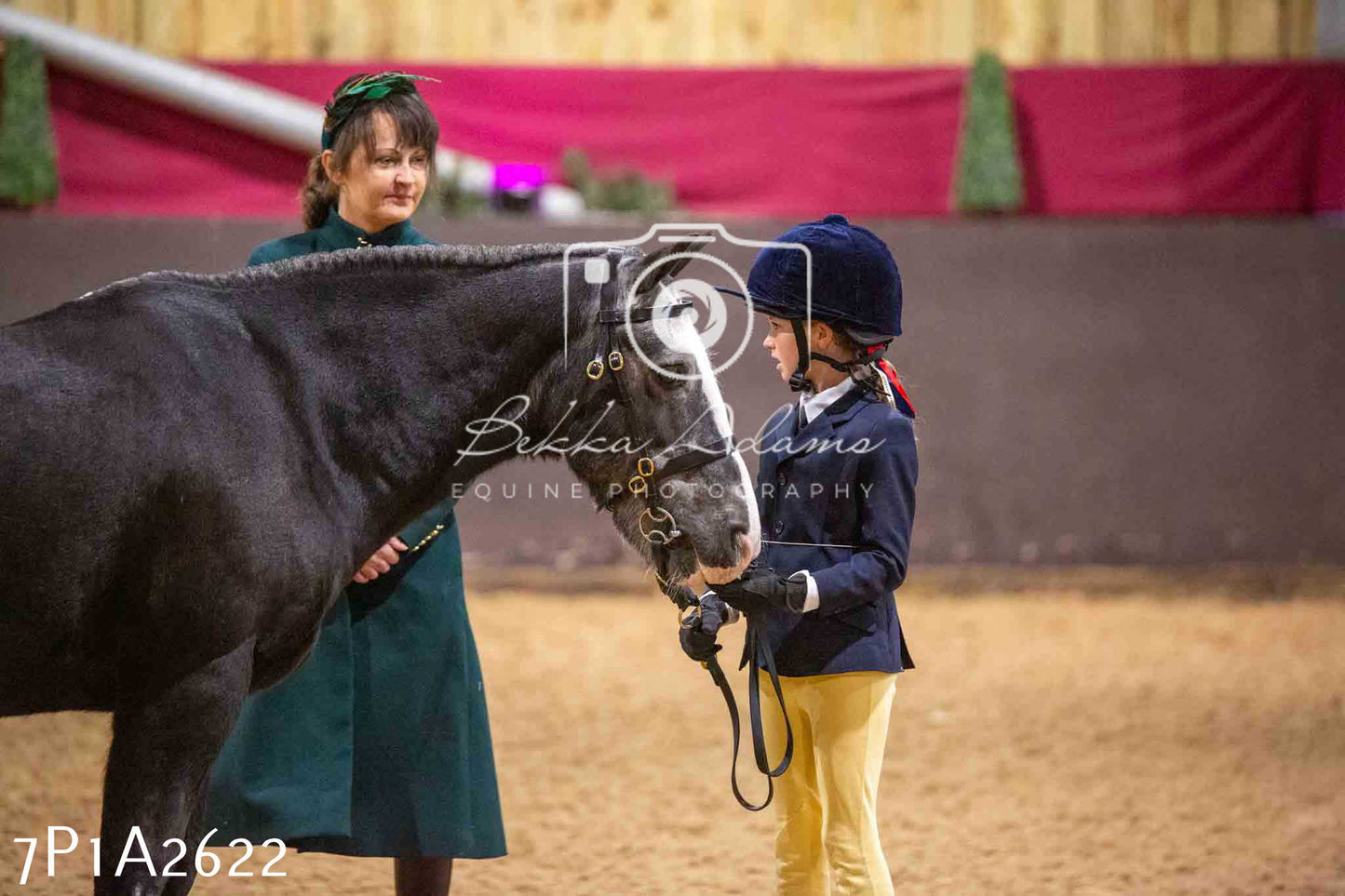 Home Farm Funshine Show 2024 - Inhand Showing 14th September