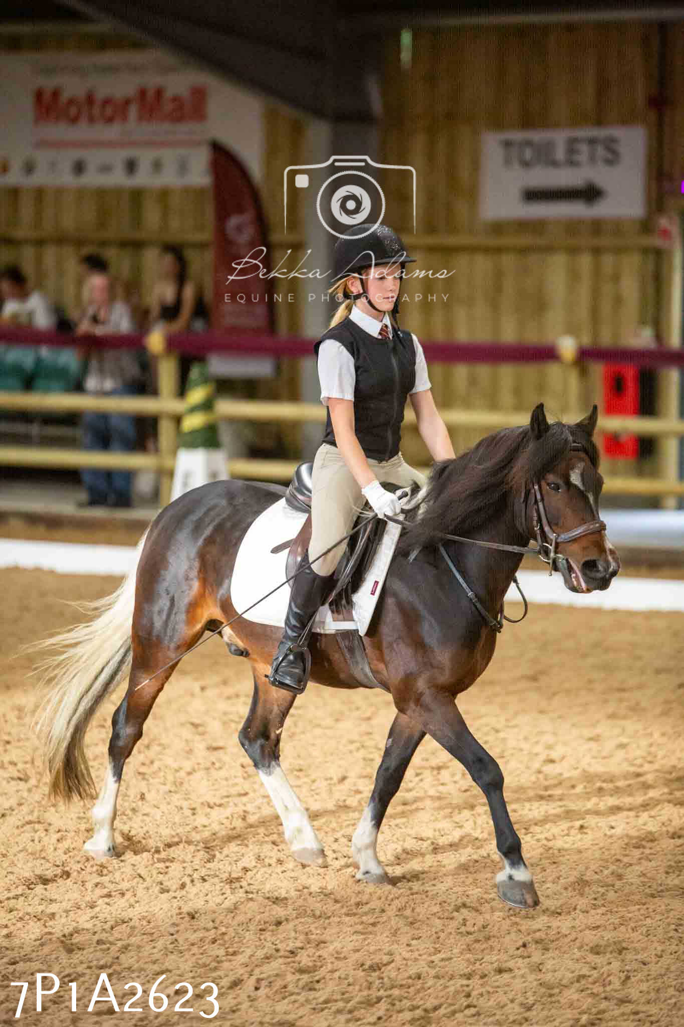 JHOYS 2023 - 6th September - Dressage